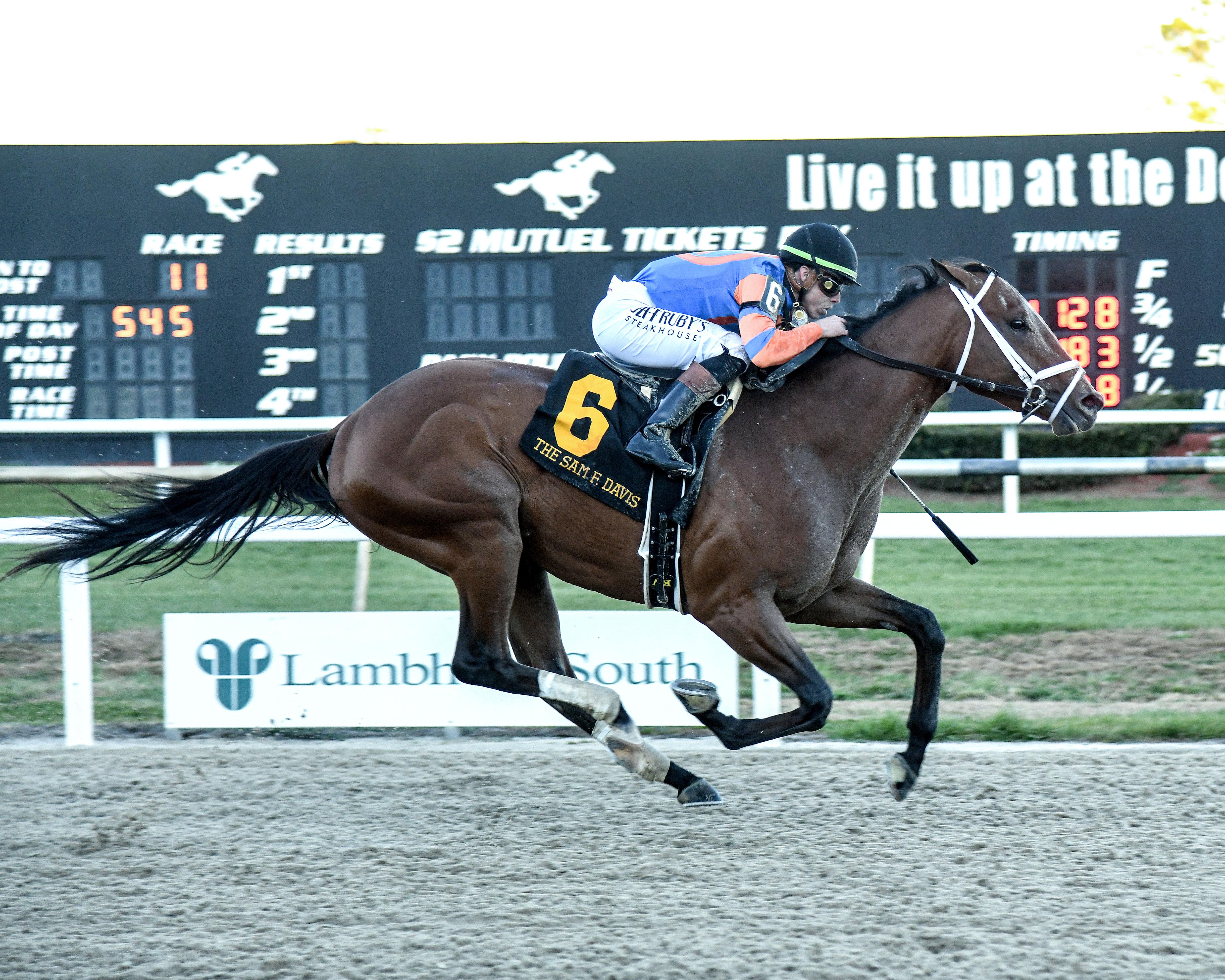 Nearly, Paladin Sit 1-2 Atop New NTRA Triple Crown Rankings | America's ...