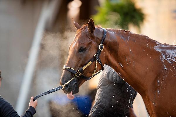 Monomoy Girl, Churchill Downs, Eclipse Sportswire