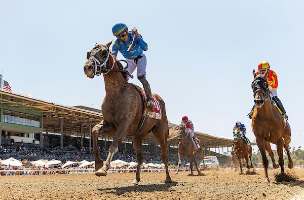 There Goes Harvard, Pacific Classic, Del Mar, Breeders' Cup Classic, Eclipse Sportswire