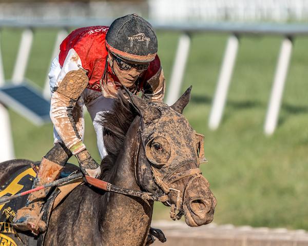 Regaled, Longines Breeders' Cup Distaff, Del Mar, America's Best Racing, horse racing, ABR 