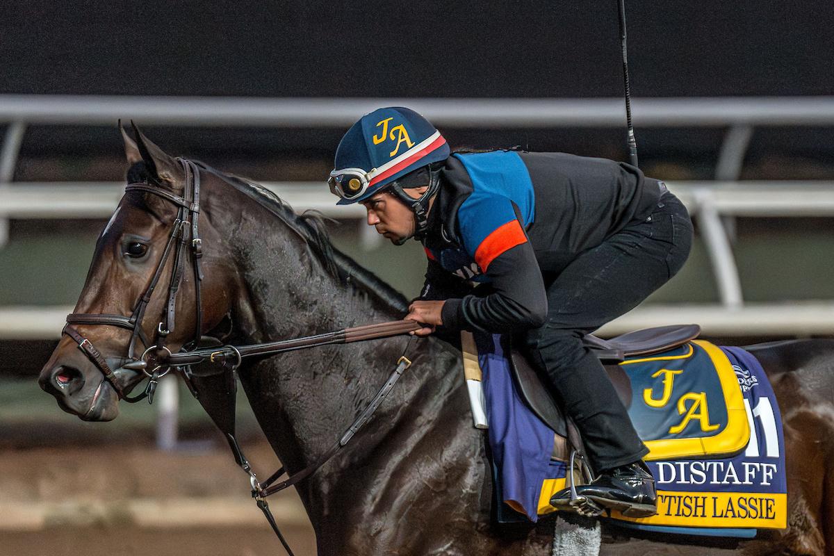 Scottish Lassie, Breeders' Cup Distaff, Keeneland, horse racing, America's Best Racing, ABR