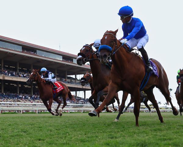 Somerset West, Kentucky Downs, Nashville Derby, Kentucky Turf Cup, Music City Stakes, horse racing, America's Best Racing, ABR