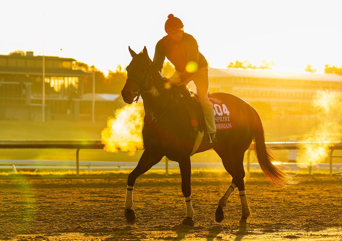 Englishman, Breeders' Cup Sprint, Keeneland, Breeders' Cup, horse racing, America's Best Racing, ABR Englishman, Breeders' Cup Sprint, Keeneland, Breeders' Cup, horse racing, America's Best Racing, ABR