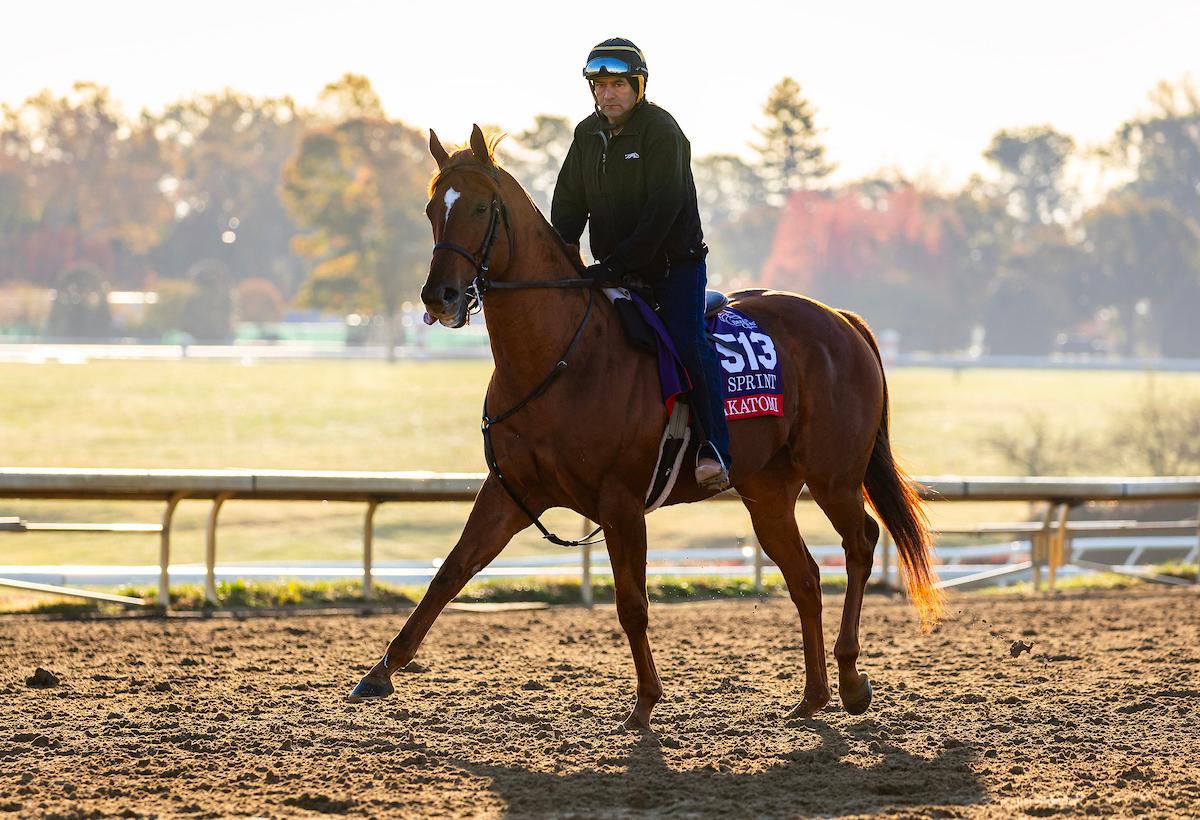 Nakatomi, Breeders' Cup Sprint, Keeneland, Breeders' Cup, horse racing, America's Best Racing, ABR Nakatomi, Breeders' Cup Sprint, Keeneland, Breeders' Cup, horse racing, America's Best Racing, ABR