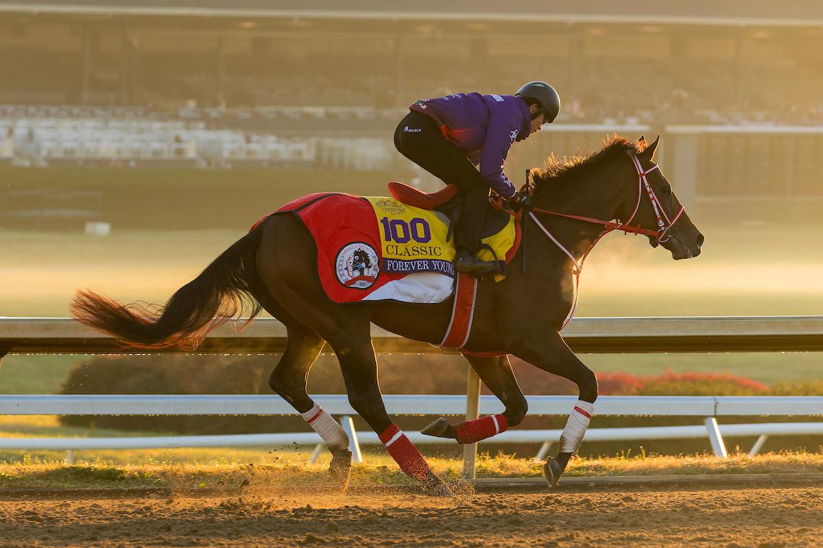 Forever Young, Breeders' Cup Classic, Keeneland, Breeders' Cup, horse racing, America's Best Racing, ABR Forever Young, Breeders' Cup Classic, Keeneland, Breeders' Cup, horse racing, America's Best Racing, ABR