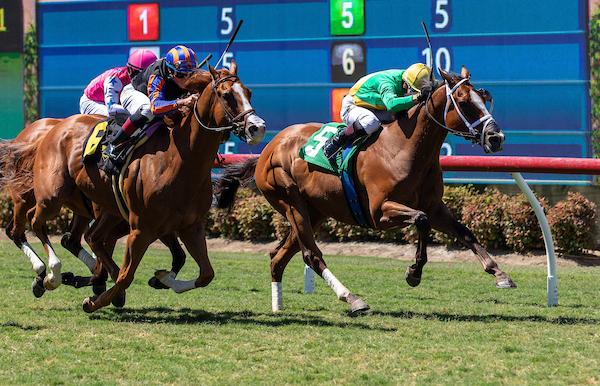 Mondego, John Henry Turf Championship, Santa Anita Park, America's Best Racing, horse racing, ABR