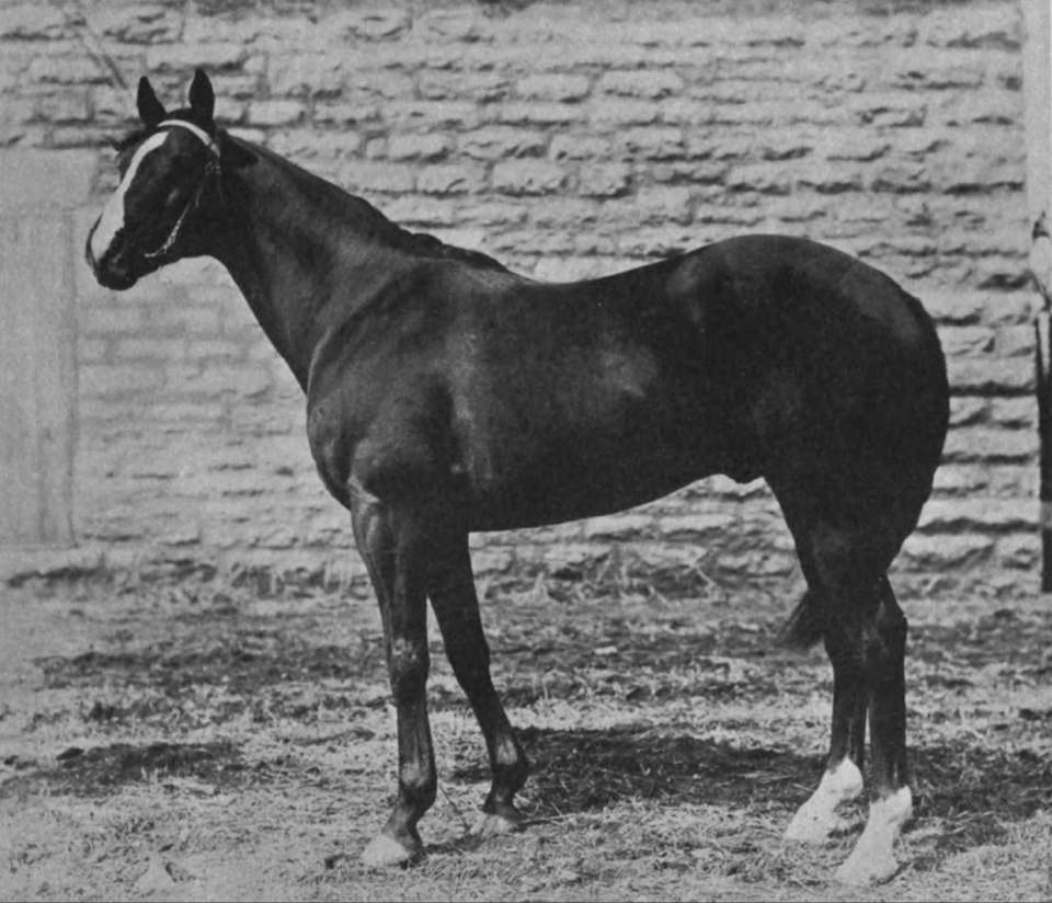 William Collins Whitney, Saratoga Race Course, Belmont Park, America's Best Racing, ABR, horse racing