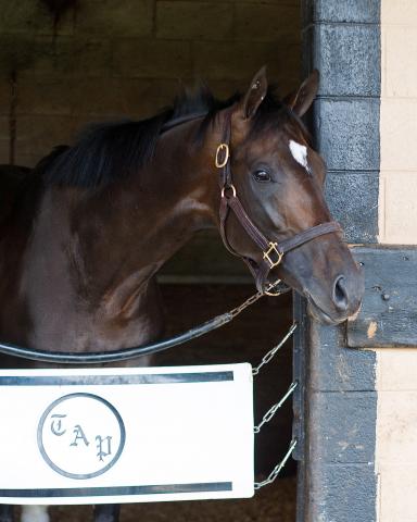 My Brothers Place >> Anthony Bonomo’s Derby Diary: Always Dreaming, Every Day ... My Brothers Place >> Anthony Bonomo’s Derby Diary: Always Dreaming, Every Day ...