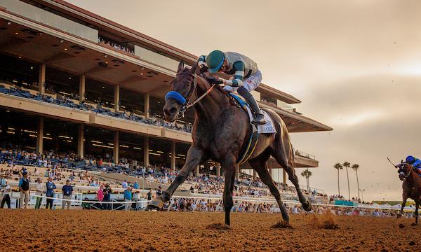 Adare Manor, Eclipse Sportswire, Pacific Classic, Del Mar, Breeders' Cup Classic