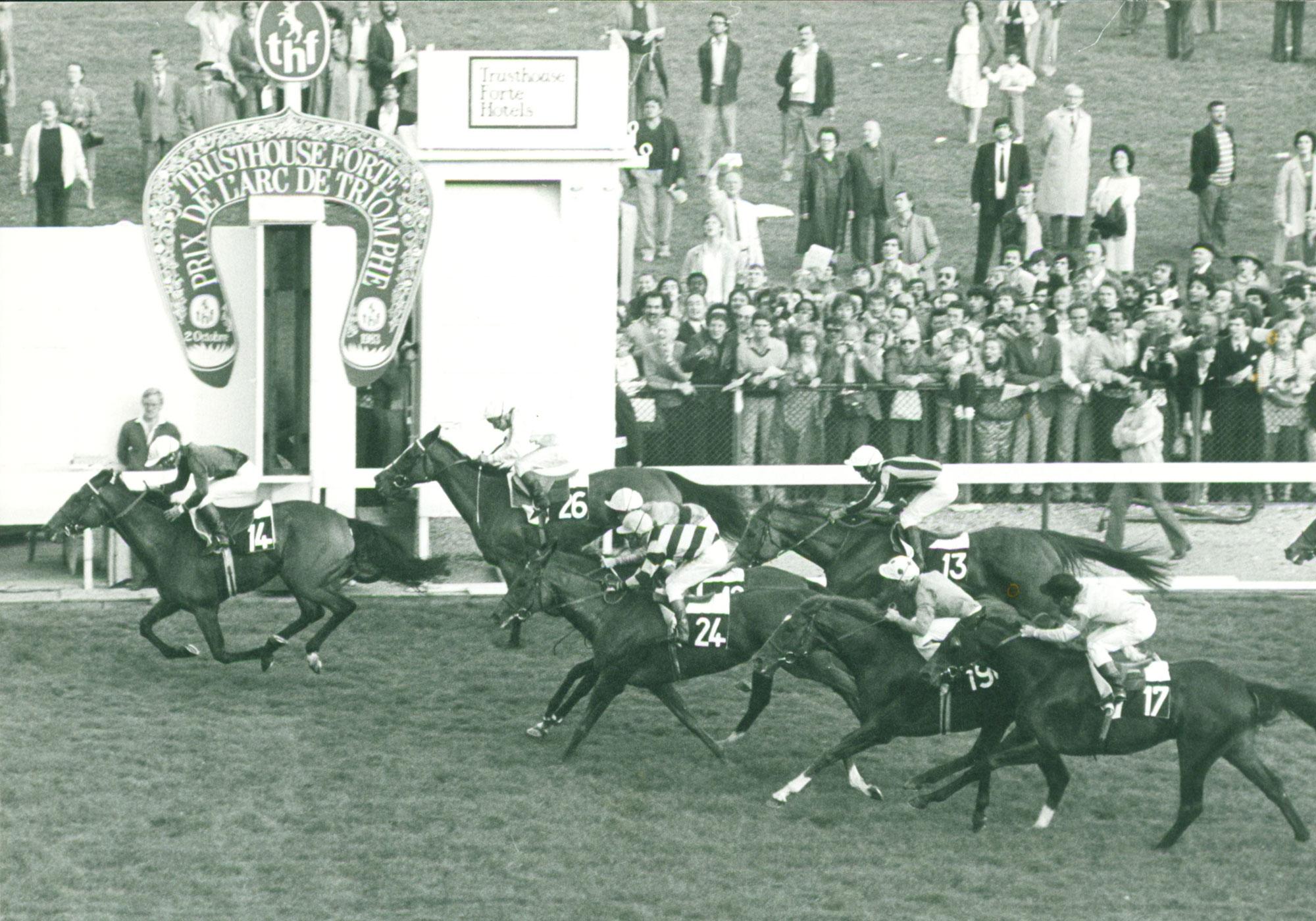All Along, 1983 Prix de l'Arc de Triomphe, Patrick Biancone, Daniel Wildenstein, Walter Swinburn
