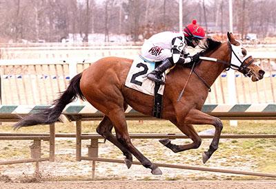 All the Hardways, Laurel Park, Maryland Million Classic, Jim McKay, America's Best Racing, horse racing, ABR