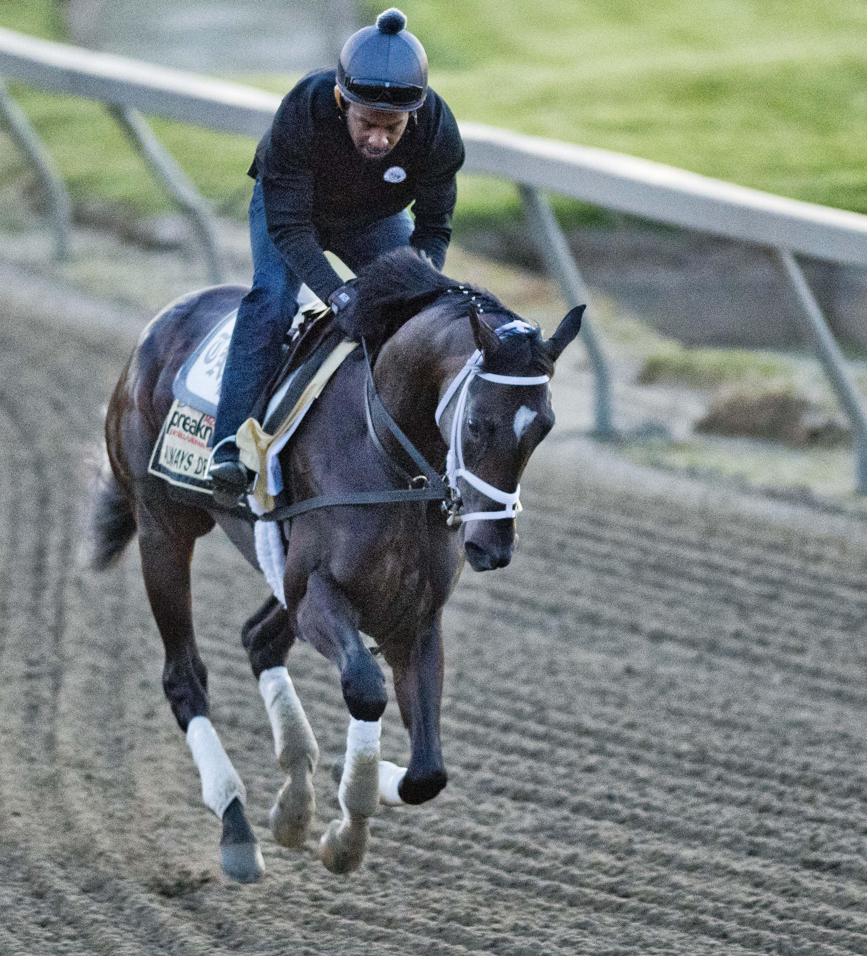 Cloud Computing Pulls Upset Win At Preakness, Ending Triple Crown Hopes