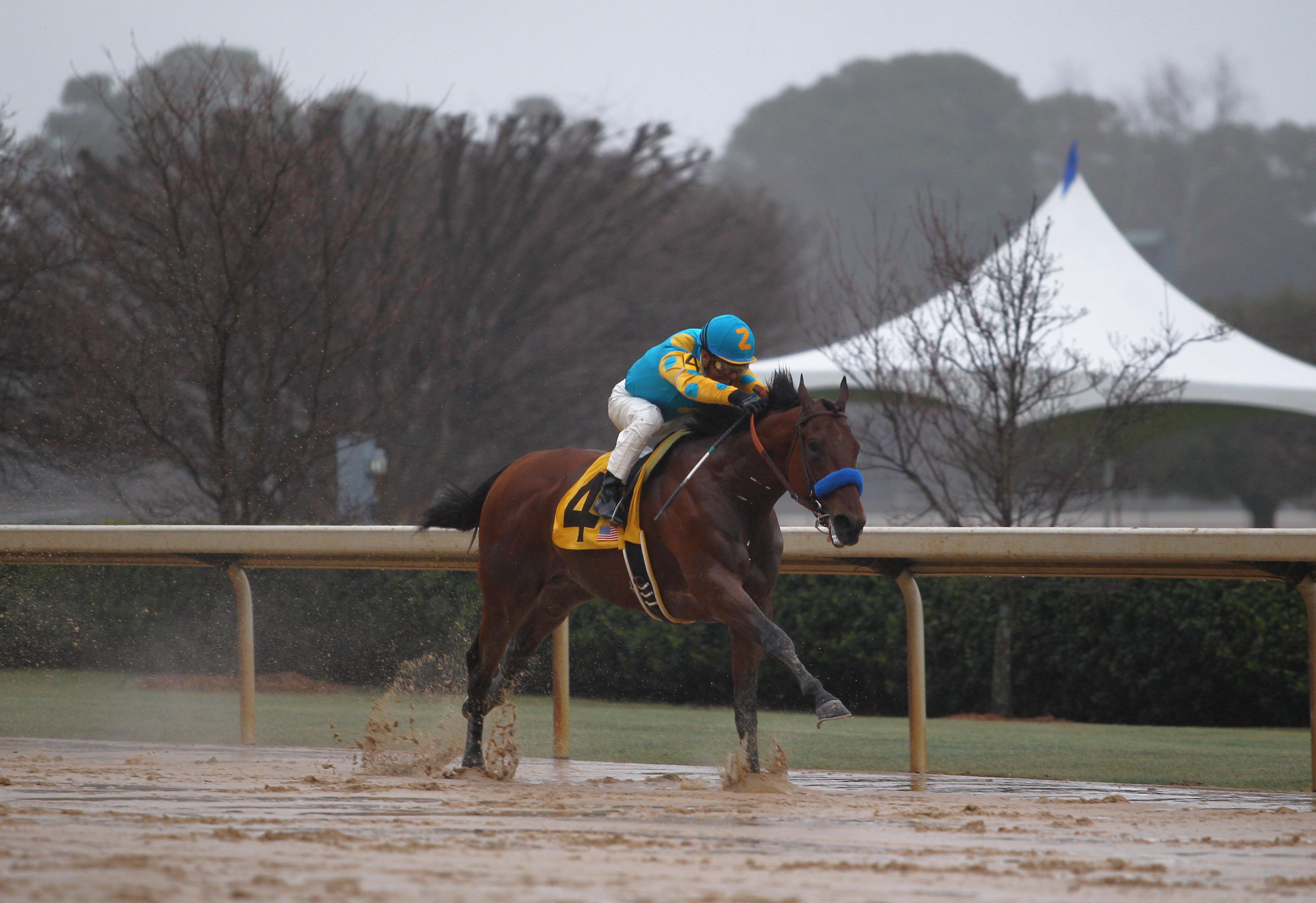 American Pharoah wins a sloppy edition of the Rebel.