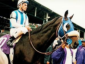 Bertrando, San Felipe, America's Best Racing, ABR, horse racing