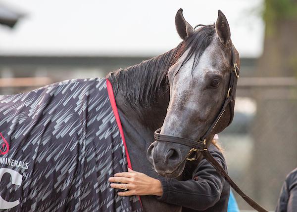 Arcangelo Peter Pan Stakes Belmont Stakes Jena Antonucci