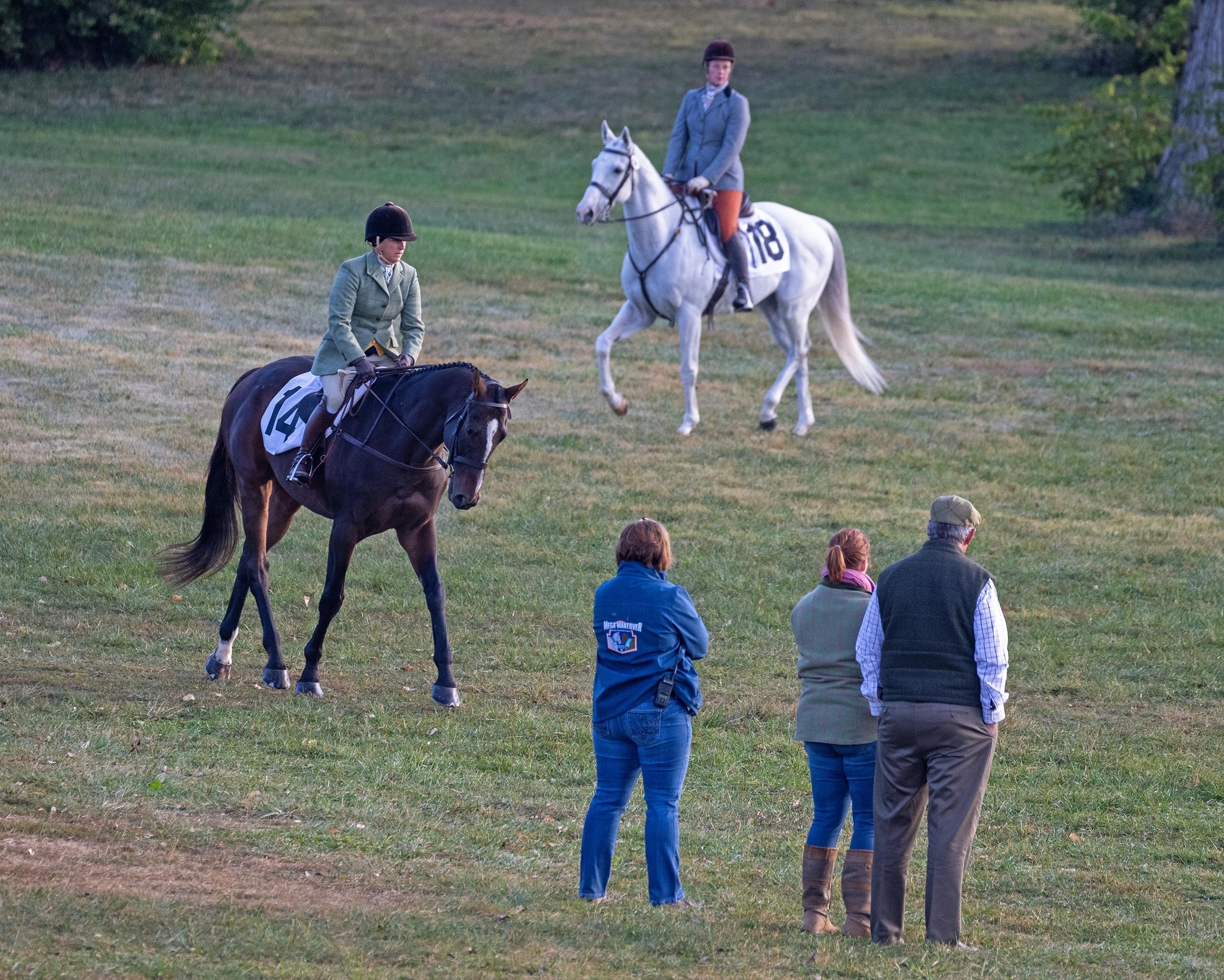 OTTBs, off-track Thoroughbreds, aftercare, Thoroughbred Aftercare Alliance, Retired Racehorse Project, horse racing, America's Best Racing, ABR