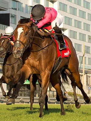 Ashley's Archer, King's Plate, Woodbine, America's Best Racing, horse racing, ABR