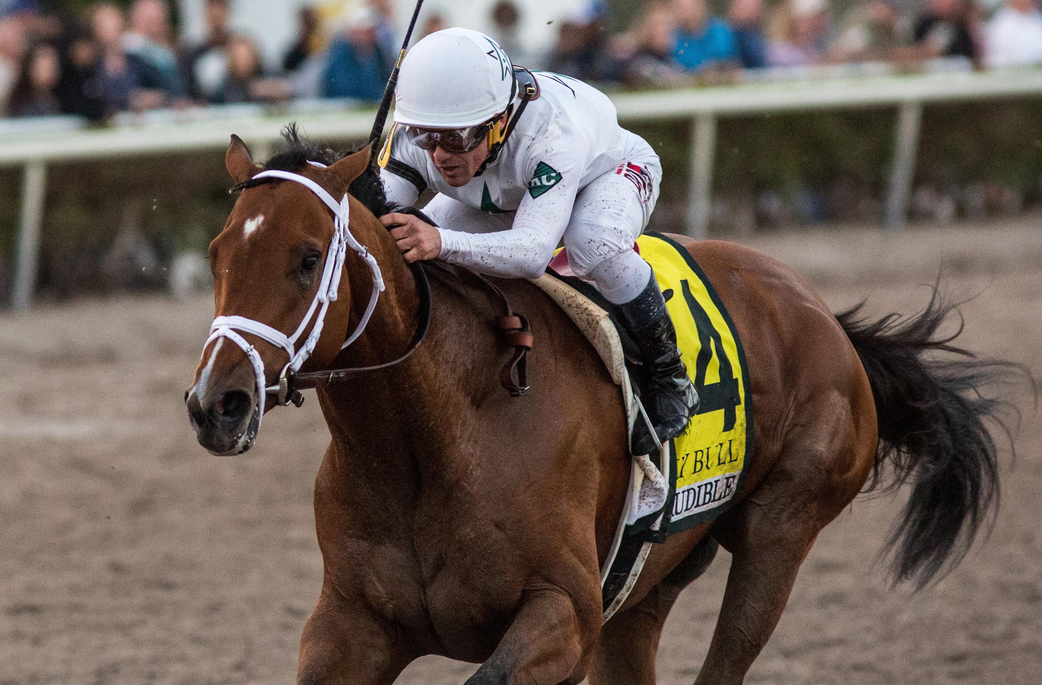 America's Best Horses Presented by America's Best Khakis | America's