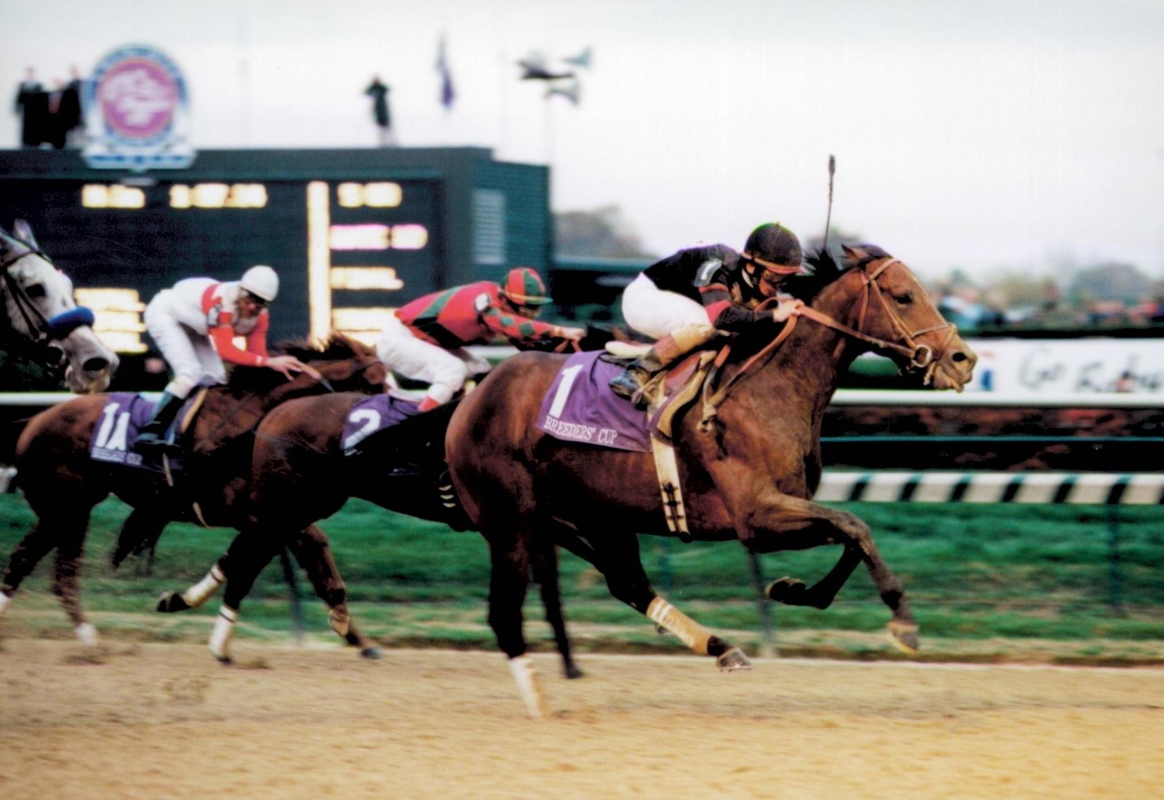 Pat Day, Hall of Fame, Jockey, Breeders' Cup Classic, Wild Again, Unbridled, Awesome Again, Cat Thief, horse racing, America's Best Racing, ABR