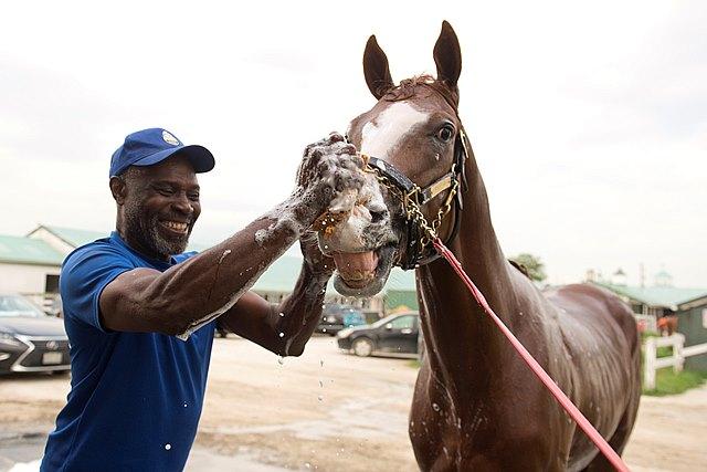 Baaeed Alynna, King's Plate, Canadian Triple Crown, Woodbine, horse racing, America's Best Racing, ABR Baaeed Alynna, King's Plate, Canadian Triple Crown, Woodbine, horse racing, America's Best Racing, ABR