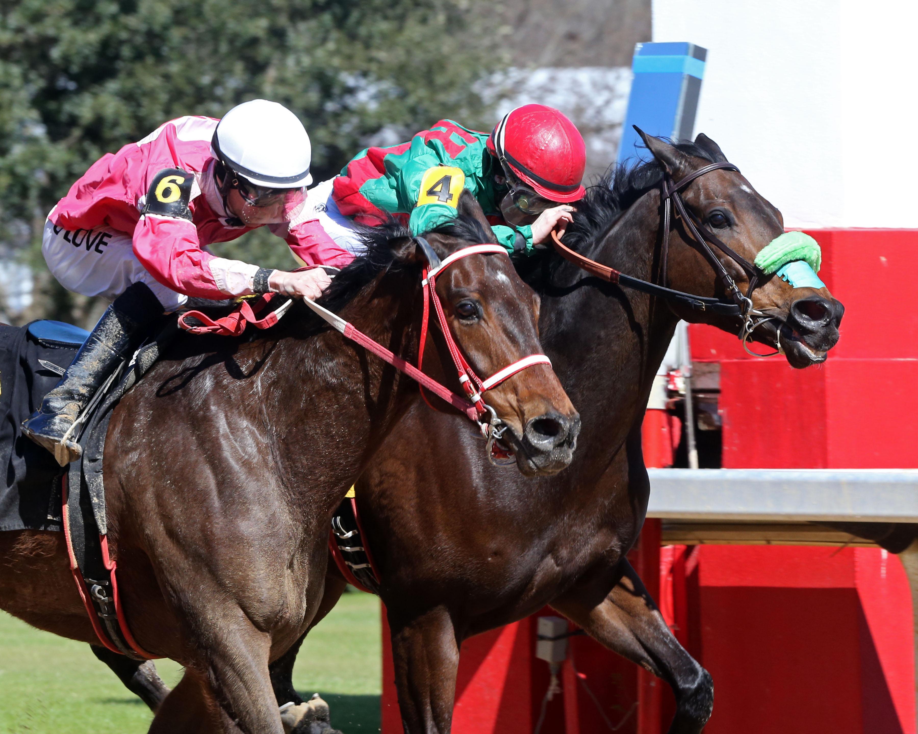 MMA FighterTurnedJockey Chelc Bailey Rides First Winner America's