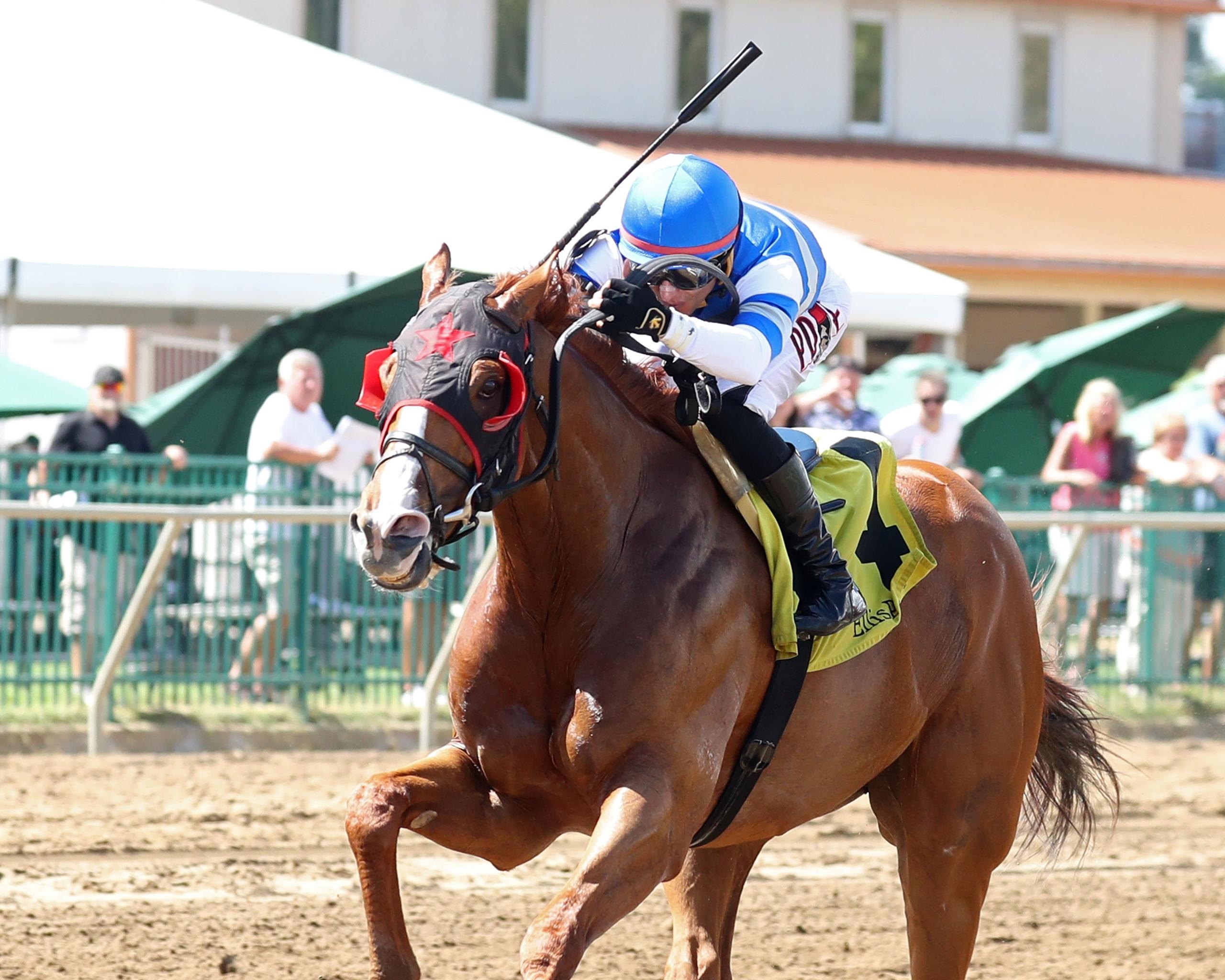 Banishing, Jockey Club Gold Cup, Belmont Park, horse racing, America's Best Racing, ABR Banishing, Jockey Club Gold Cup, Belmont Park, horse racing, America's Best Racing, ABR