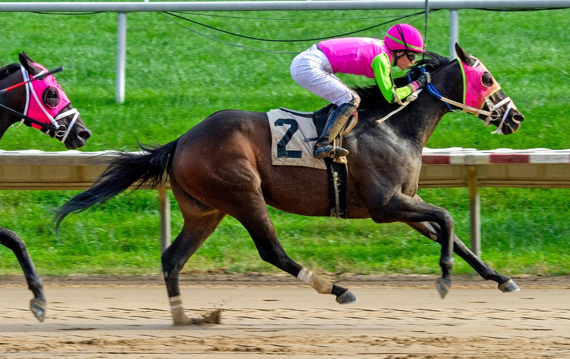 Barbadian Runner wins Battery Park Stakes at Delaware Barbadian Runner wins Battery Park Stakes at Delaware