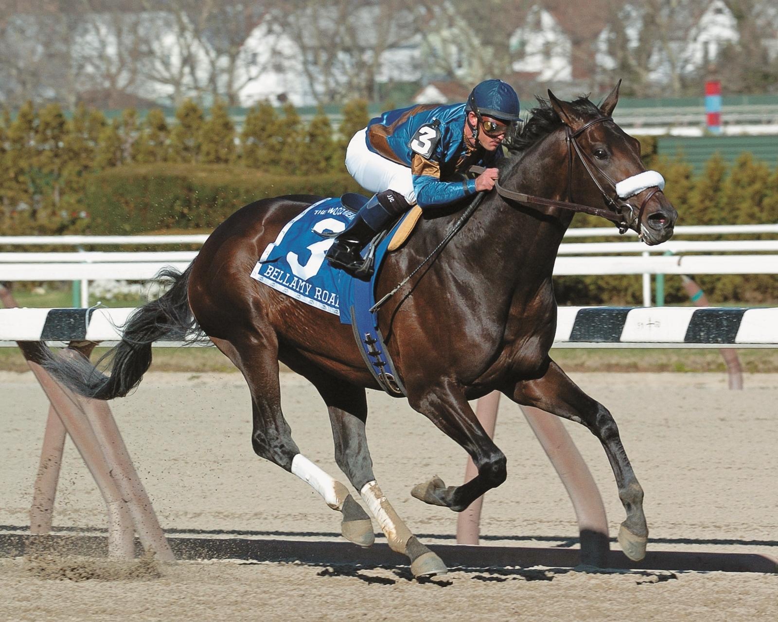 Bellamy Road, Wood Memorial Stakes, Aqueduct, America's Best Racing, ABR, horse racing