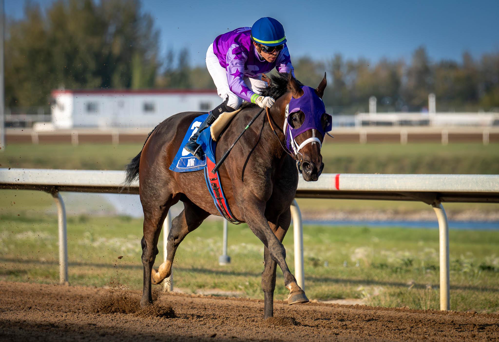 Big Hug, Century Mile, Alberta, horse racing, America's Best Racing, ABR Big Hug, Century Mile, Alberta, horse racing, America's Best Racing, ABR