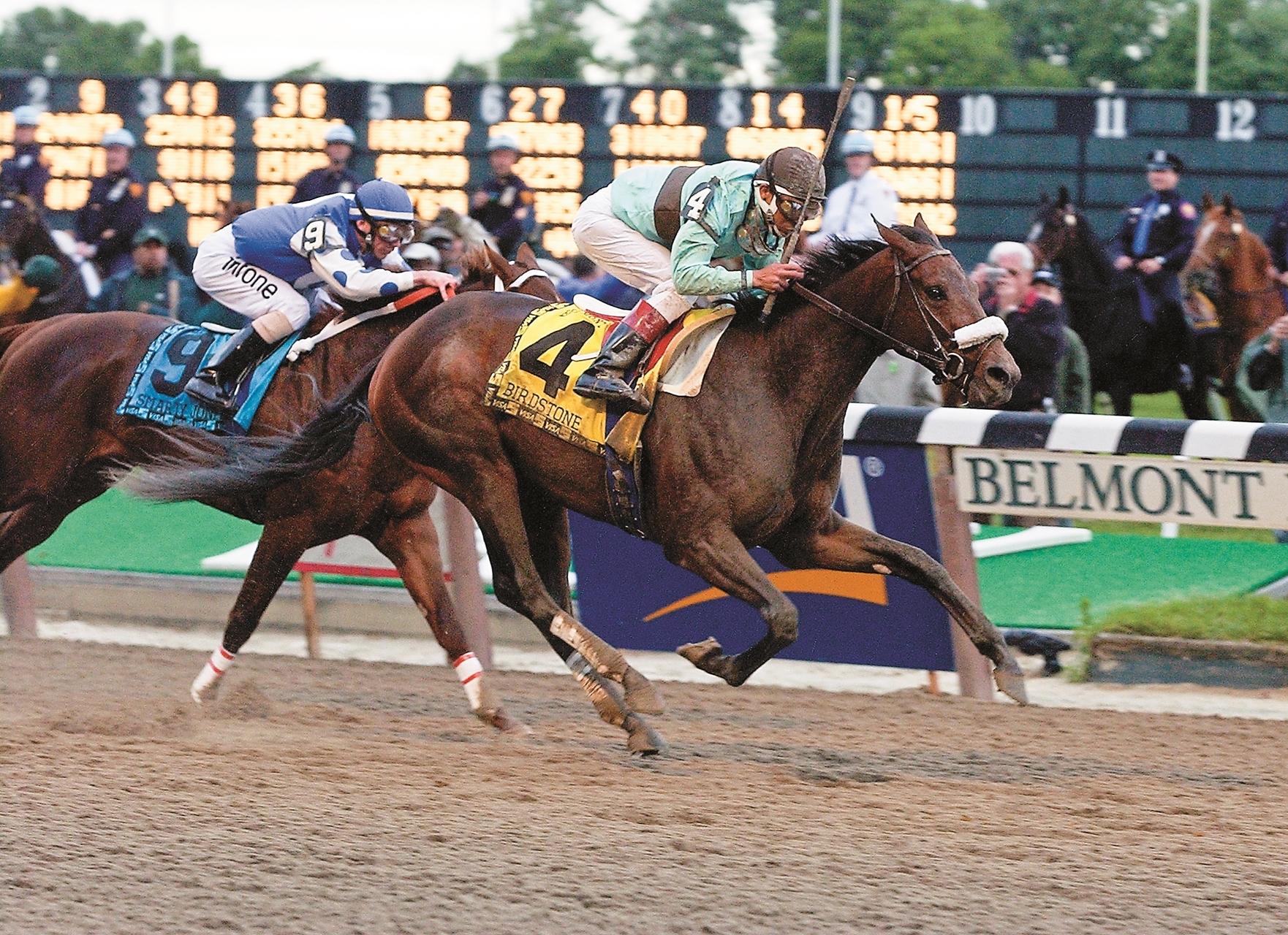 Birdstone, Smarty Jones, 2004 Belmont Stakes, BloodHorse Library, Anne M. Eberhardt