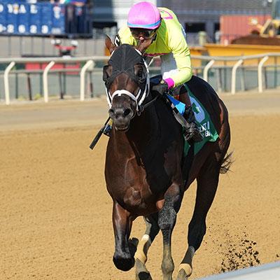 Bishops Bay, Cigar Mile Stakes, Aqueduct, America's Best Racing, horse racing, ABR Bishops Bay, Cigar Mile Stakes, Aqueduct, America's Best Racing, horse racing, ABR