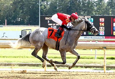 Blue Kingdom, Laurel Park, Maryland Million Classic, Jim McKay, America's Best Racing, horse racing, ABR
