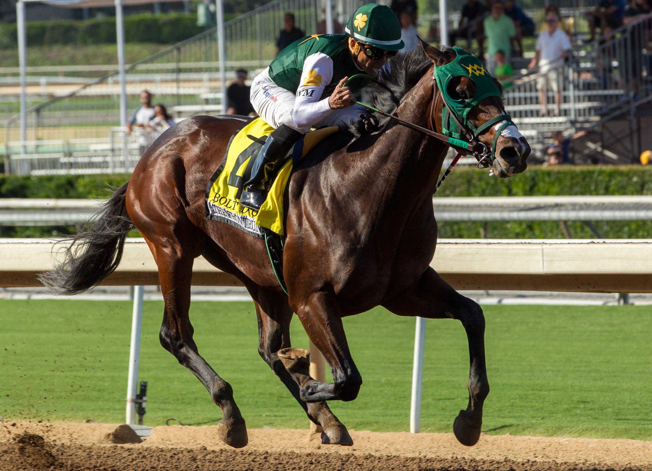 Bolt d'Oro