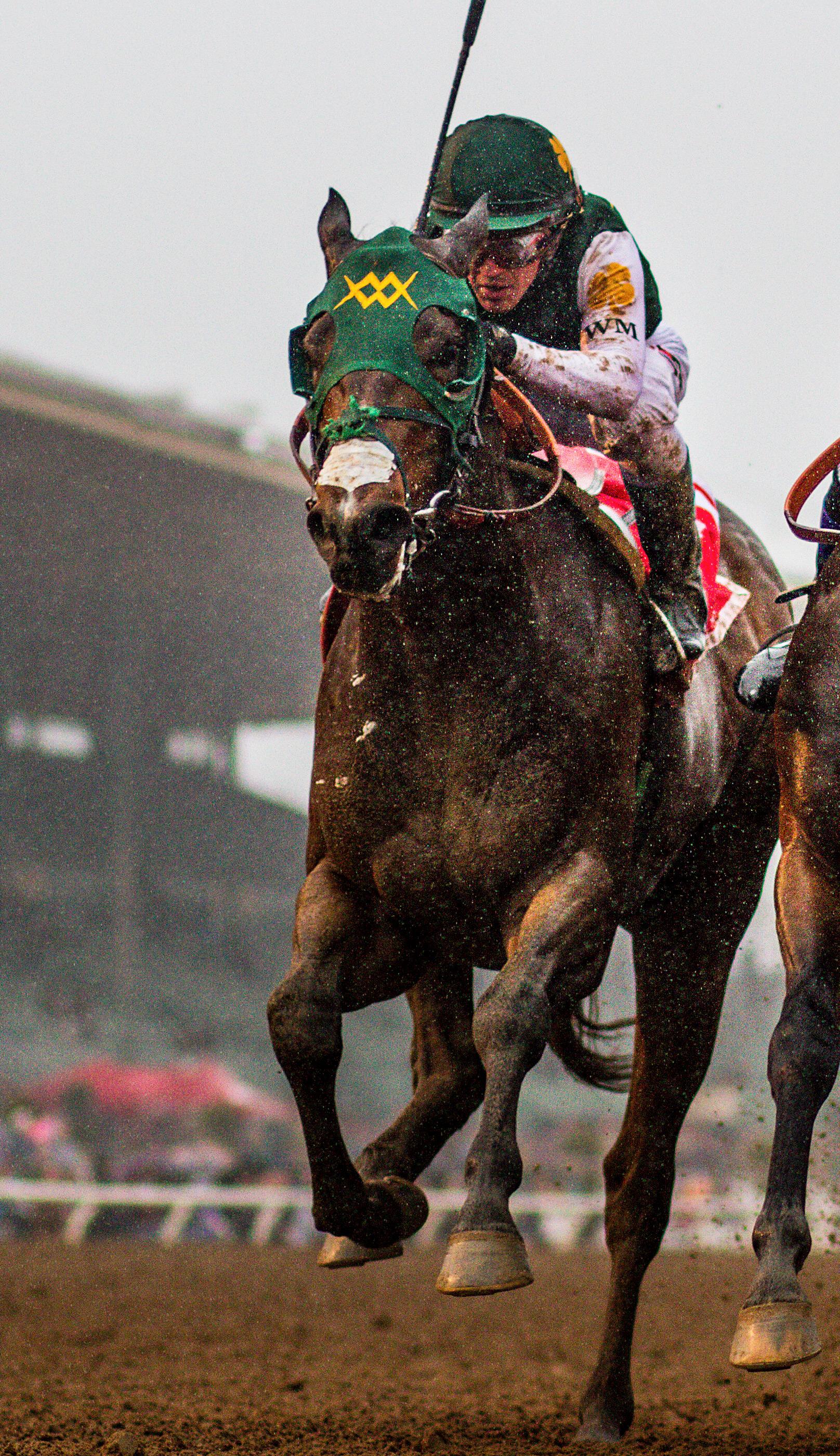Bolt d'Oro