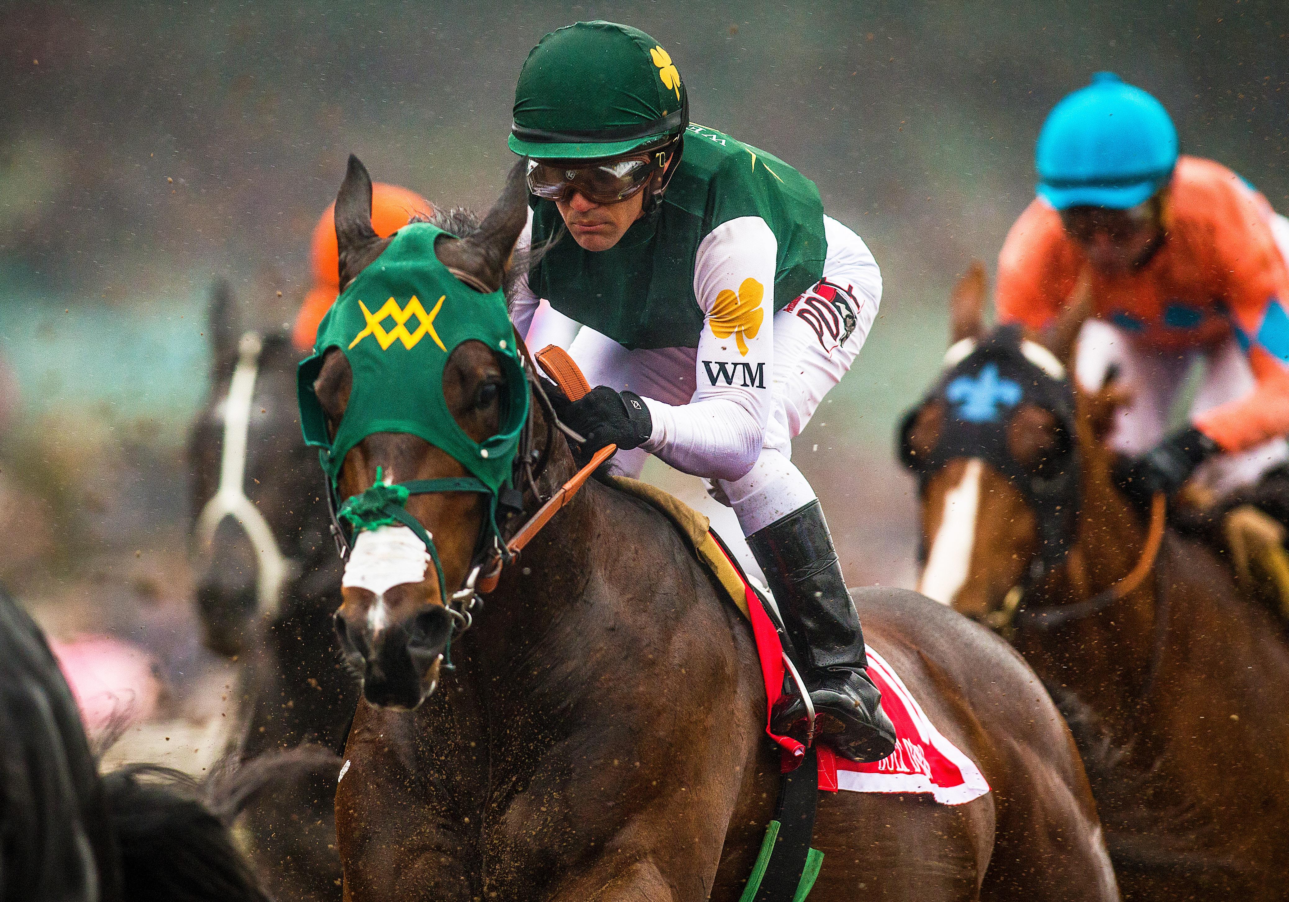 Bolt d'Oro