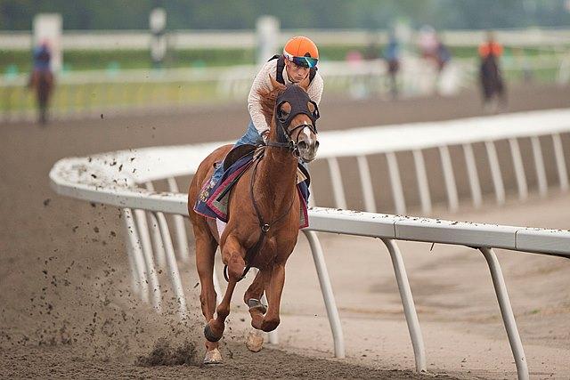 Military Time, King's Plate, Canadian Triple Crown, Woodbine, horse racing, America's Best Racing, ABR Military Time, King's Plate, Canadian Triple Crown, Woodbine, horse racing, America's Best Racing, ABR