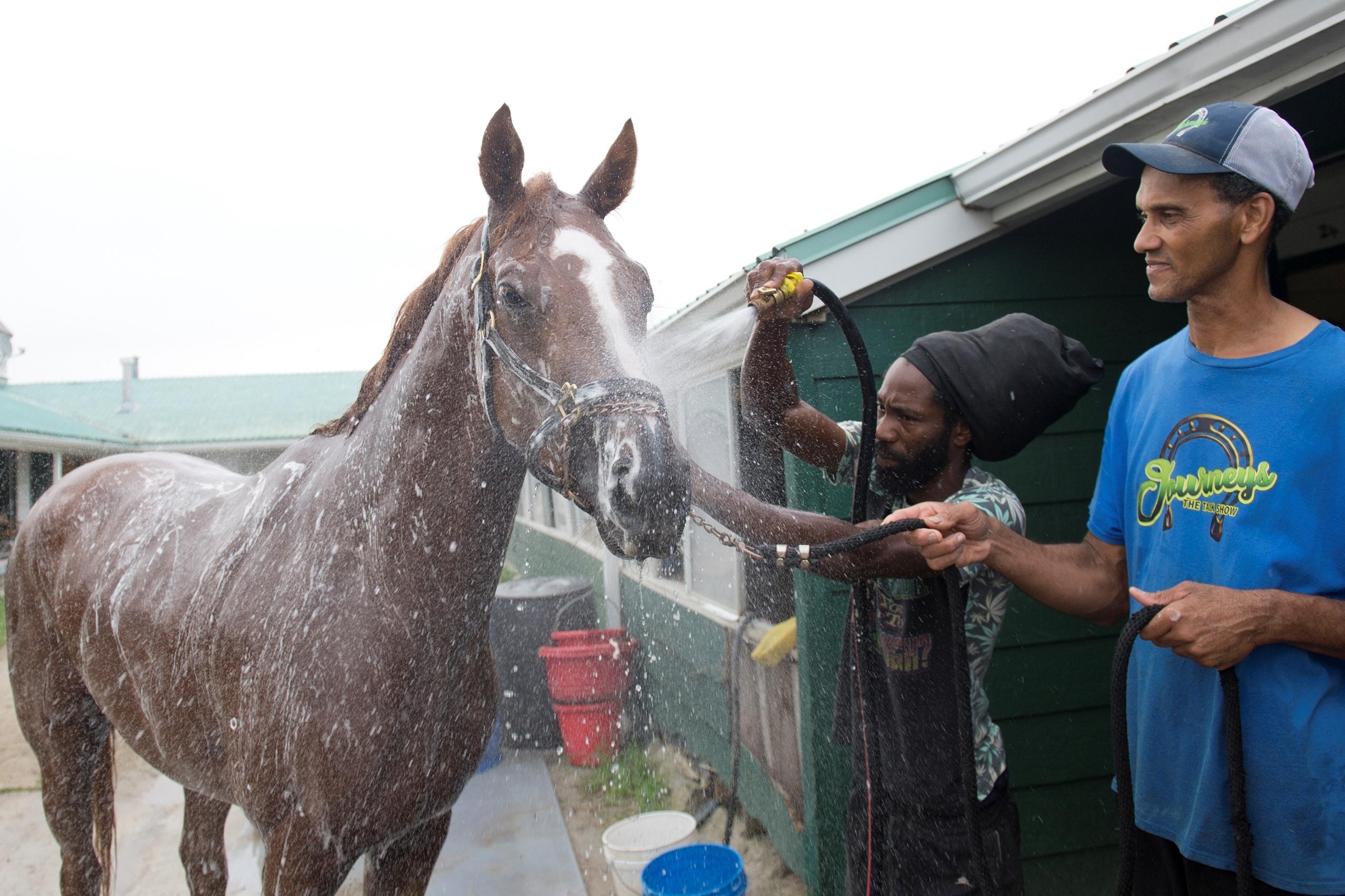 Bond Market, King's Plate, Canadian Triple Crown, Woodbine, horse racing, America's Best Racing, ABR Bond Market, King's Plate, Canadian Triple Crown, Woodbine, horse racing, America's Best Racing, ABR