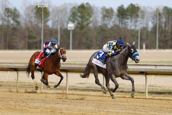 Bottle of Rogue, Kentucky Oaks, Churchill Downs, horse racing, America's Best Racing, ABR