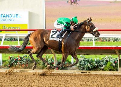 Brazenly, Cigar Mile Stakes, Aqueduct, America's Best Racing, horse racing, ABR Brazenly, Cigar Mile Stakes, Aqueduct, America's Best Racing, horse racing, ABR