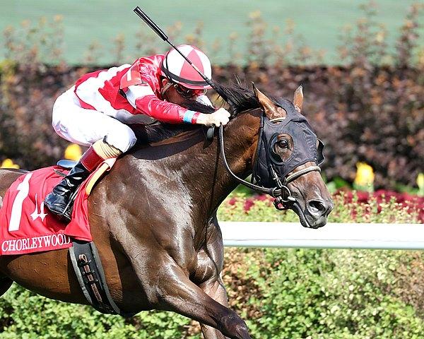 Burnham Square, Arlington Million, Colonial Downs, horse racing, America's Best Racing, ABR Burnham Square, Arlington Million, Colonial Downs, horse racing, America's Best Racing, ABR