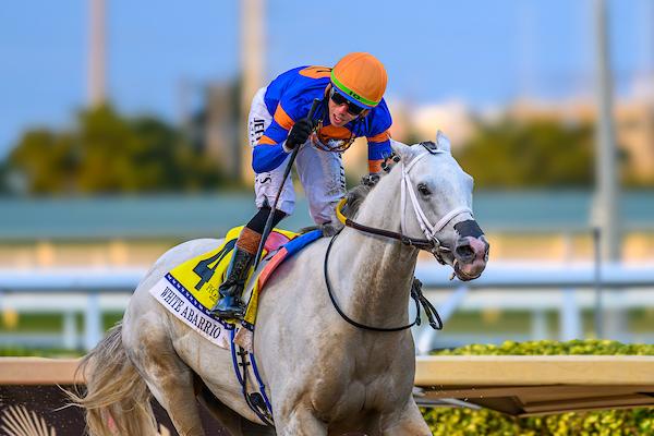 White Abarrio, Breeders' Cup Classic, Del Mar, America's Best Racing, horse racing, ABR