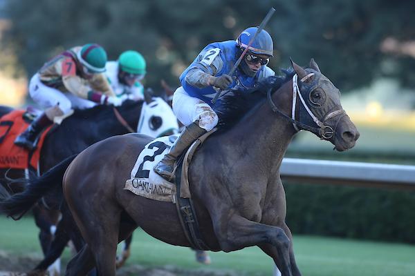Sierra Leone Leads Latest List of Triple Crown Contenders in NTRA Poll ...