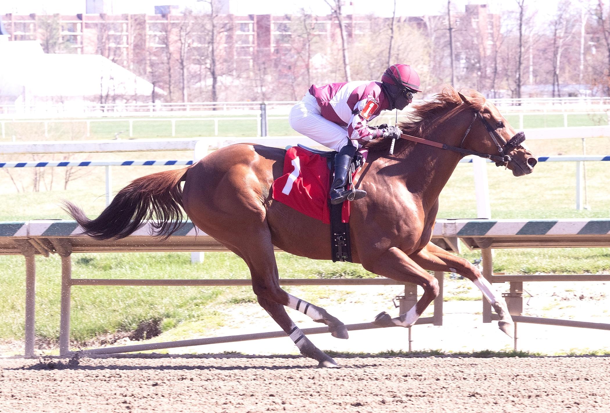 Celtic Contender, De Francis Dash, Laurel Park, horse racing, America's Best Racing, ABR