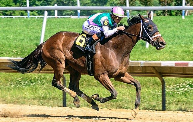Chasten, Obeah Stakes, Delaware Park, Clement L. Hirsch Stakes, Del Mar, horse racing, America's Best Racing, ABR