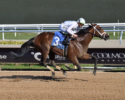 Class President, Rebel Stakes, Oaklawn Park, ABR, America's Best Racing, Triple Crown, horse racing