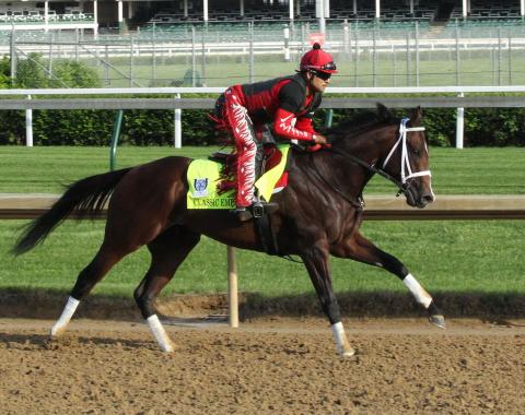 Preakness: Todd Pletcher takes sure and steady approach Preakness: Todd Pletcher takes sure and steady approach