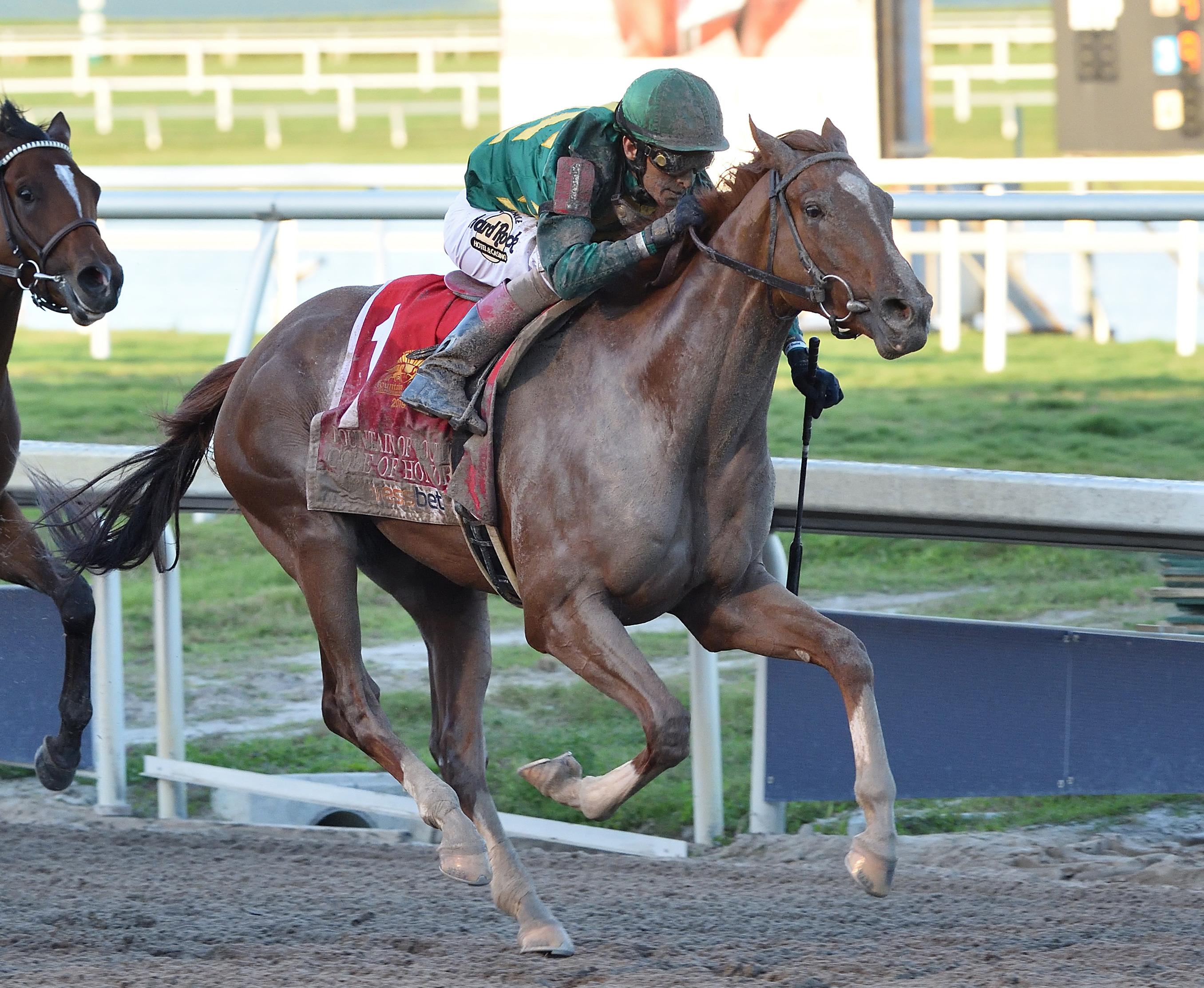 Code of Honor