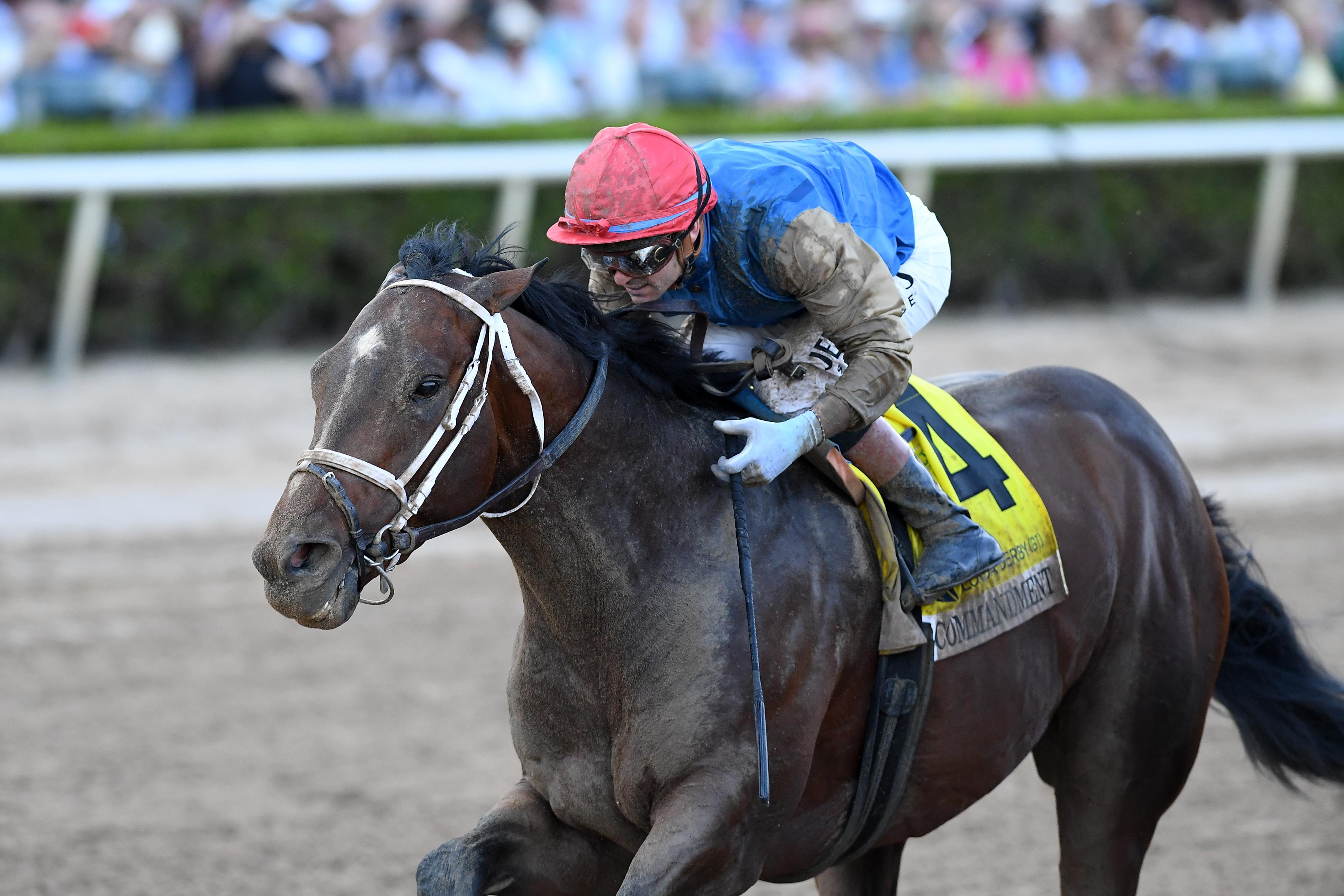 Renegade Top Choice Over Commandment, Further Ado in Final Pre-Kentucky ...