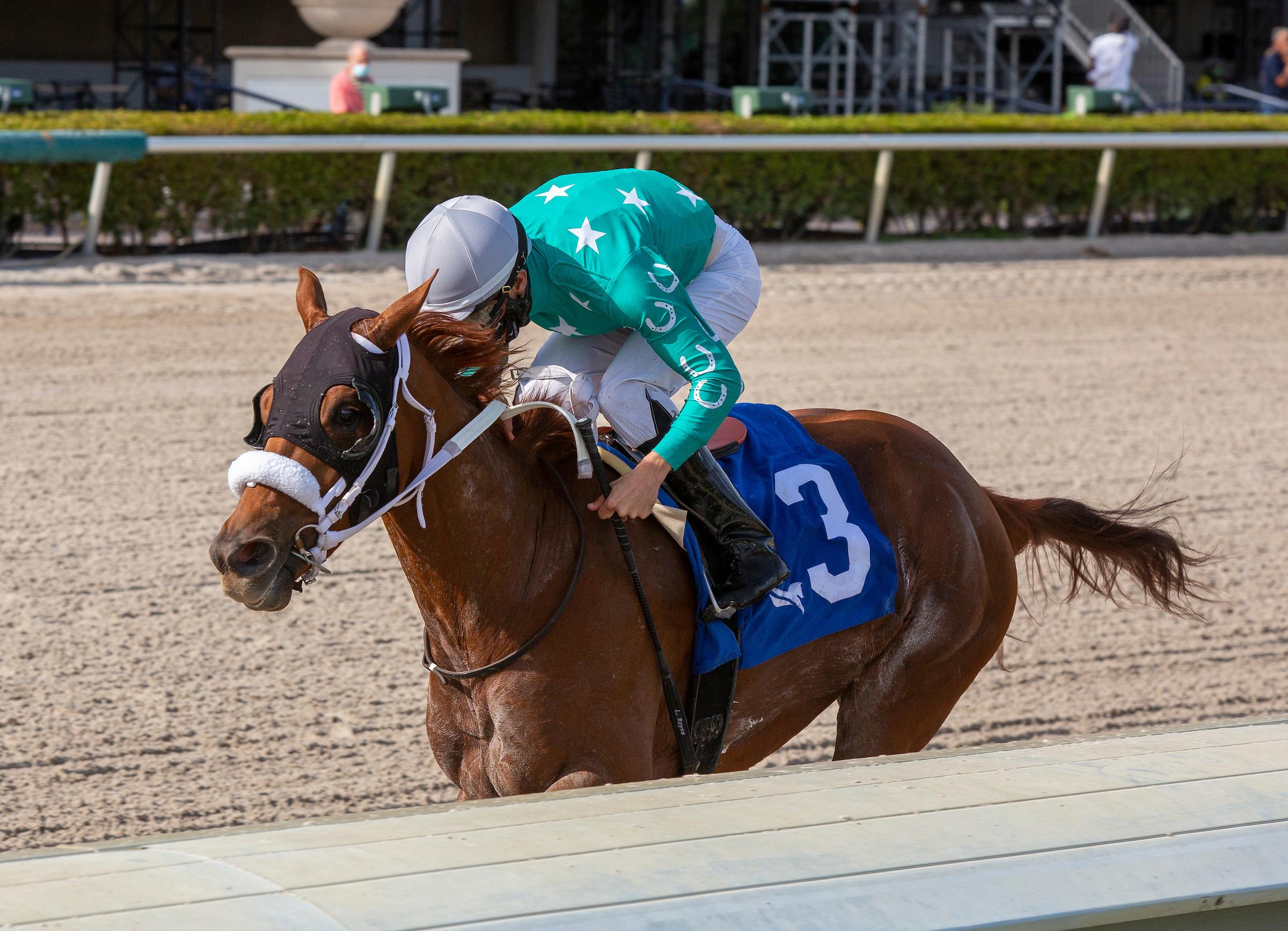Equibase Horse Search - 8jap8fk