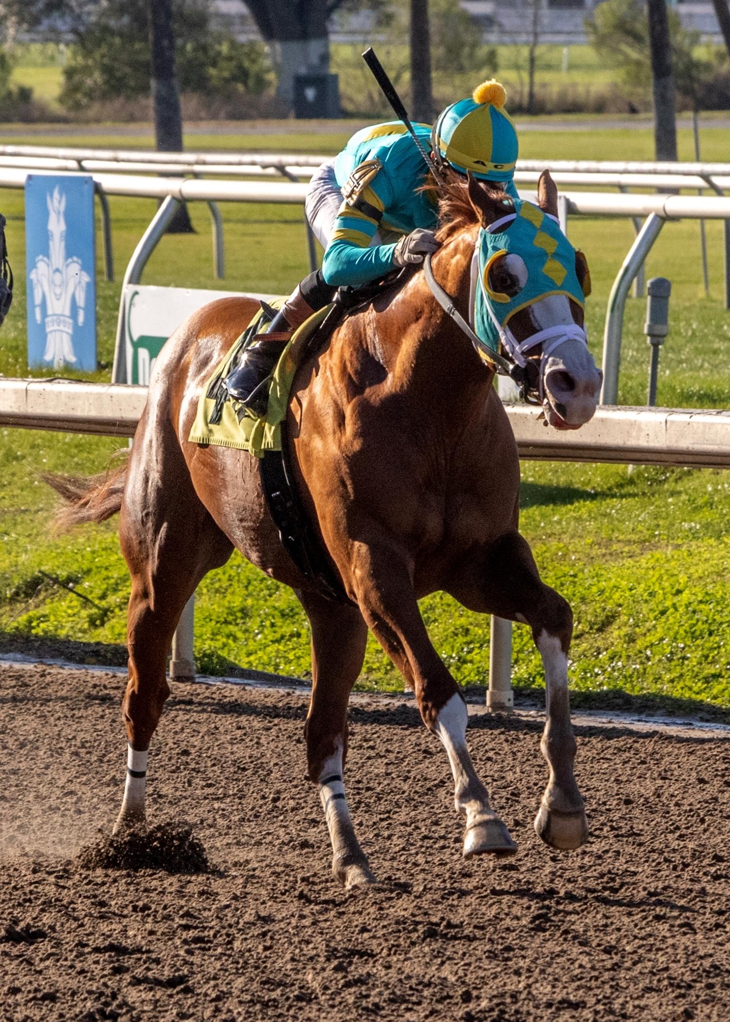 Creole Chrome, Toyota Blue Grass Stakes, Keeneland, America's Best Racing, Triple Crown, Kentucky Derby, horse racing, ABR